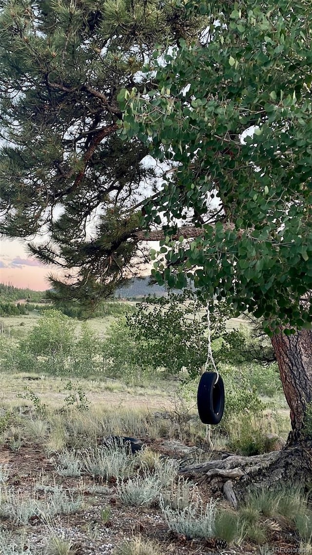 204 Strongbox Ct, Jefferson, CO 80456