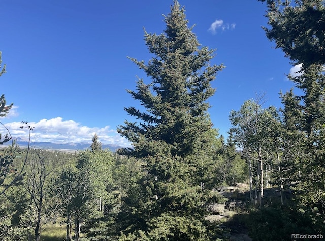 204 Strongbox Ct, Jefferson, CO 80456