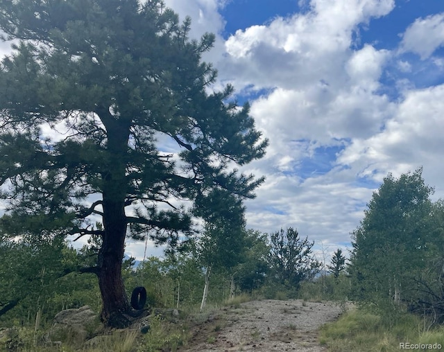 204 Strongbox Ct, Jefferson, CO 80456