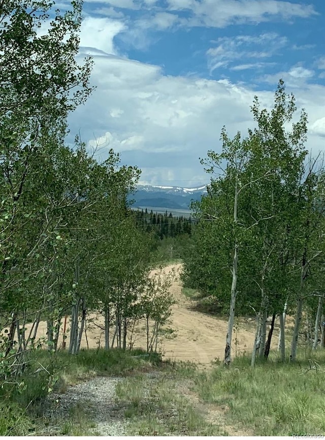 204 Strongbox Ct, Jefferson, CO 80456
