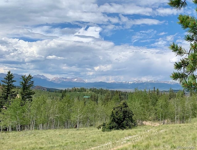 204 Strongbox Ct, Jefferson, CO 80456