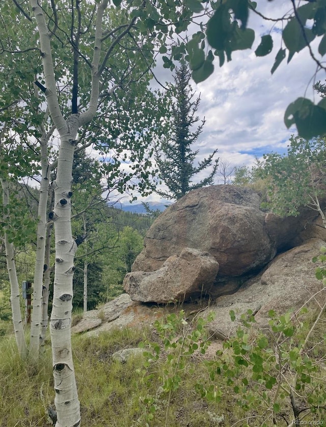 204 Strongbox Ct, Jefferson, CO 80456