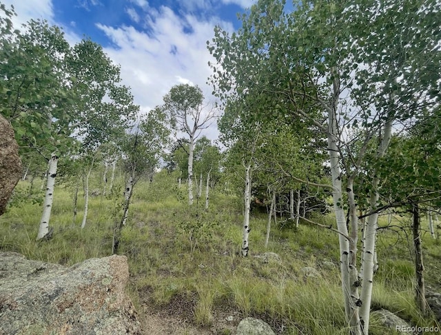 204 Strongbox Ct, Jefferson, CO 80456