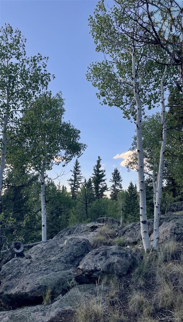 204 Strongbox Ct, Jefferson, CO 80456