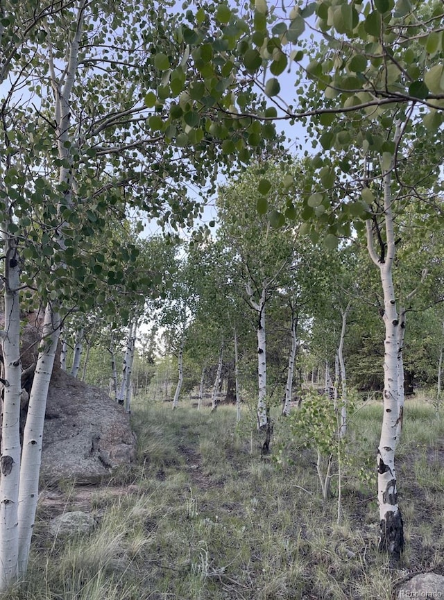 204 Strongbox Ct, Jefferson, CO 80456