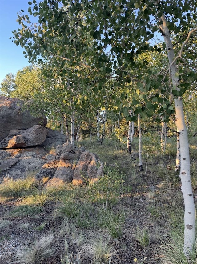 204 Strongbox Ct, Jefferson, CO 80456