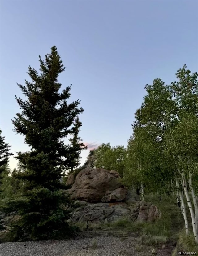 204 Strongbox Ct, Jefferson, CO 80456