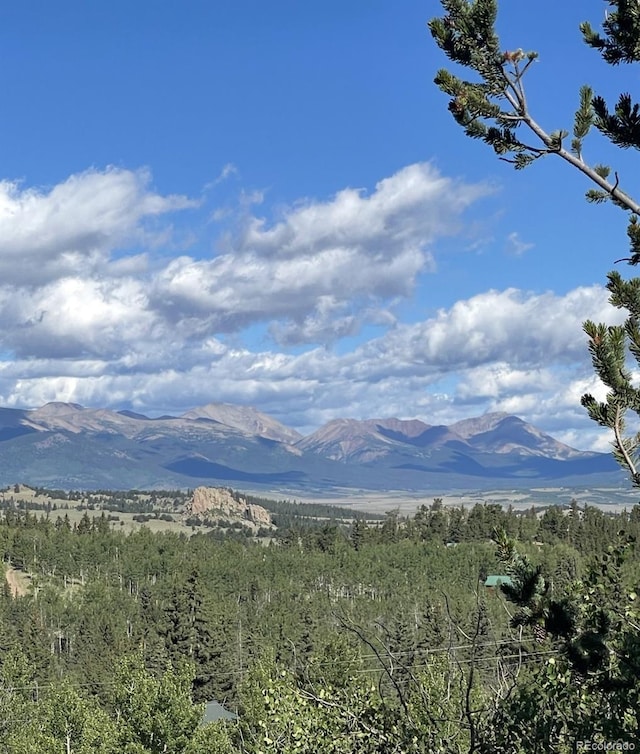 204 Strongbox Ct, Jefferson, CO 80456