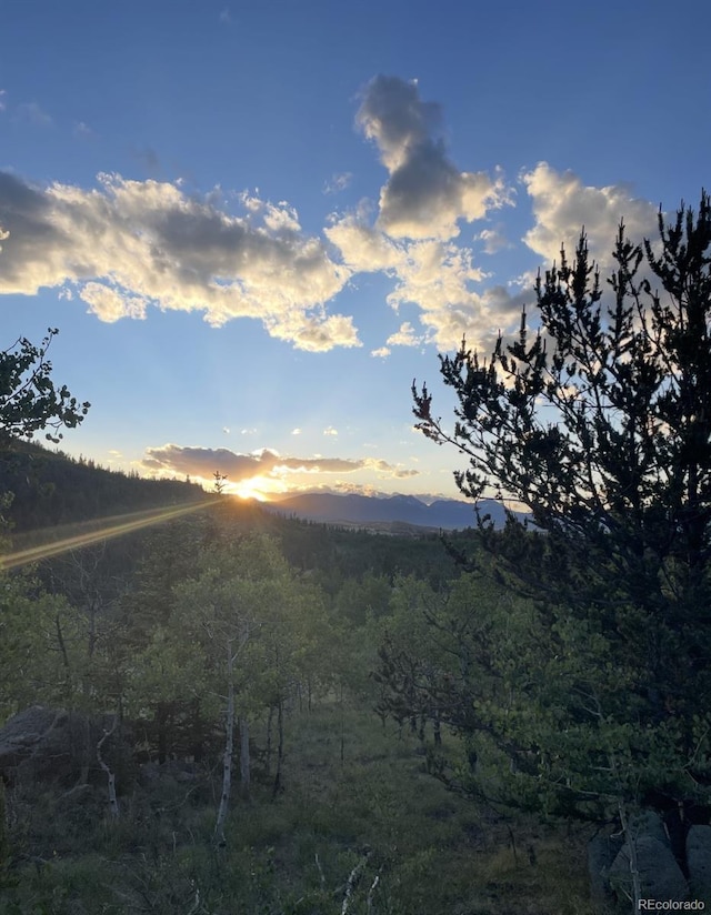 204 Strongbox Ct, Jefferson, CO 80456