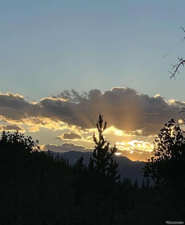 204 Strongbox Ct, Jefferson, CO 80456