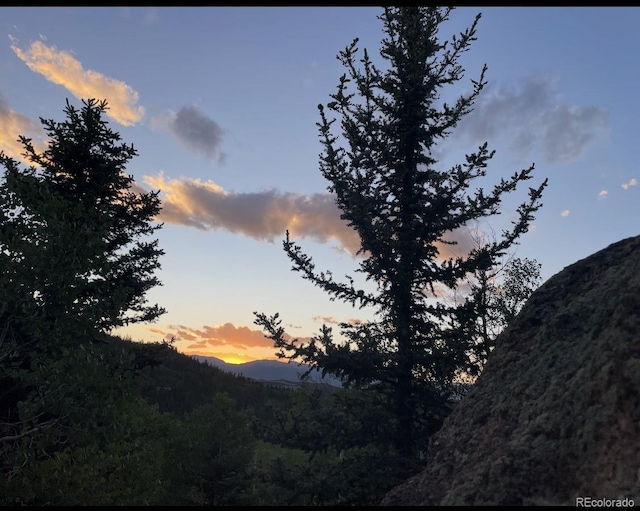 204 Strongbox Ct, Jefferson, CO 80456
