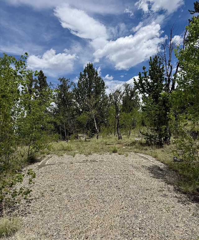 204 Strongbox Ct, Jefferson, CO 80456