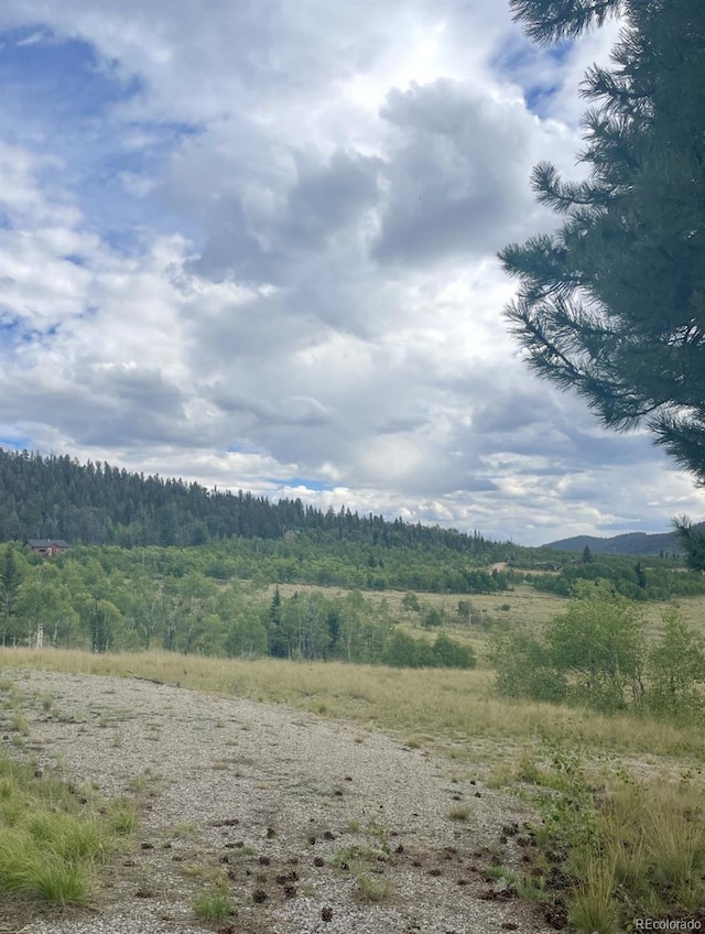 204 Strongbox Ct, Jefferson, CO 80456