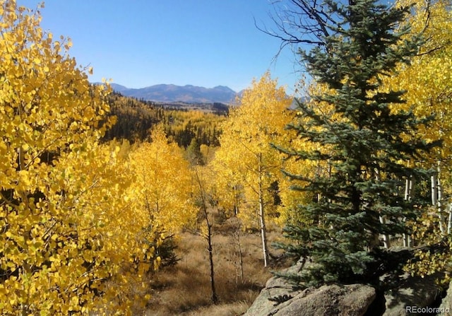 204 Strongbox Ct, Jefferson, CO 80456