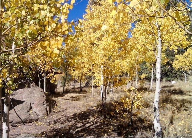 204 Strongbox Ct, Jefferson, CO 80456