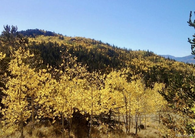 204 Strongbox Ct, Jefferson, CO 80456