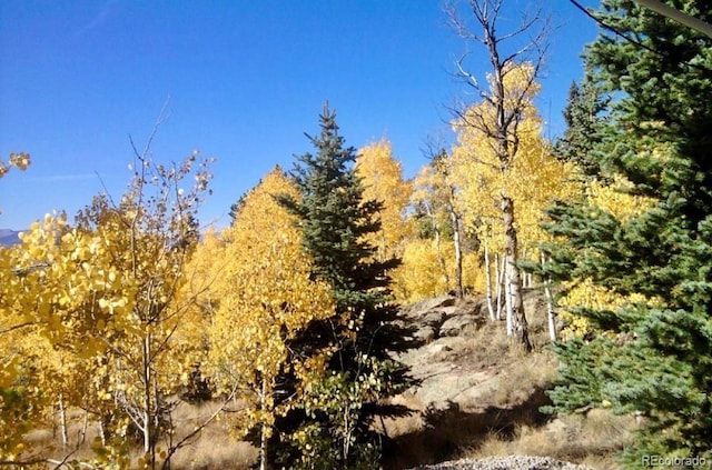 204 Strongbox Ct, Jefferson, CO 80456