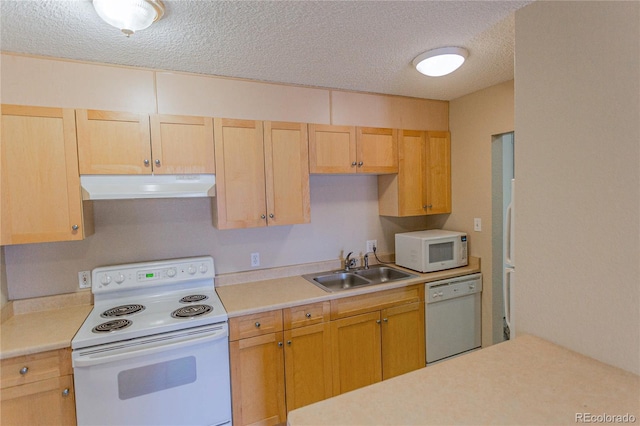 2500 S York St Unit 213, Denver, CO 80210 - kitchen with white appliances, under cabinet range hood, a sink, light countertops, and a textured ceiling