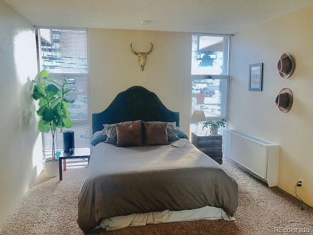 2500 S York St Unit 213, Denver, CO 80210 - carpeted bedroom featuring radiator heating unit