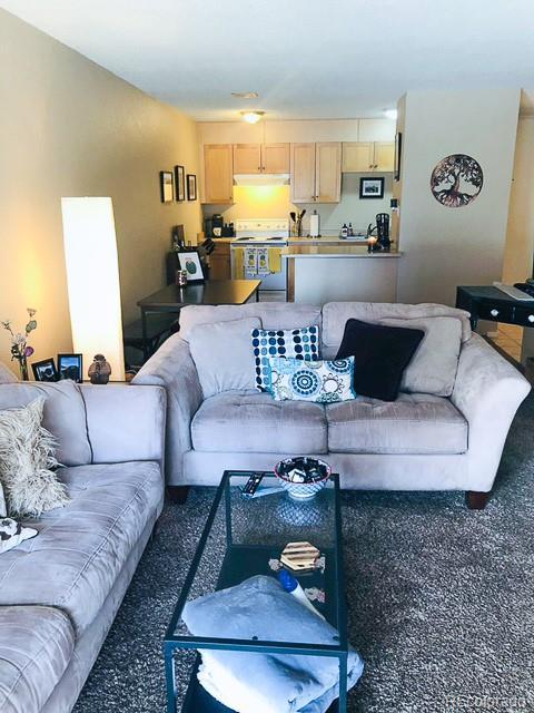 2500 S York St Unit 213, Denver, CO 80210 - view of living area