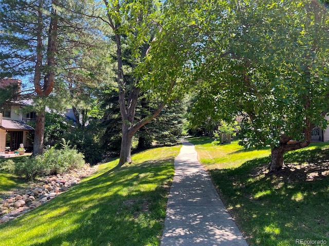 7313 Poston Way, Boulder, CO 80301 - view of street