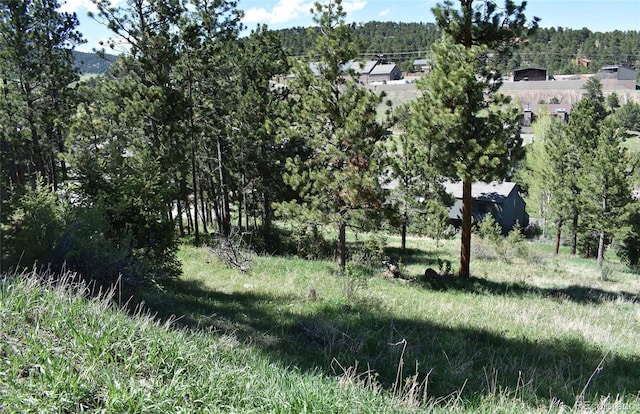 0000 Suncreek Dr, Evergreen, CO 80439 - photo 14