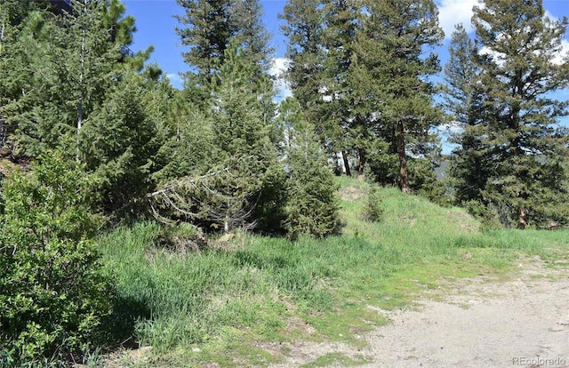 0000 Suncreek Dr, Evergreen, CO 80439 - photo 17