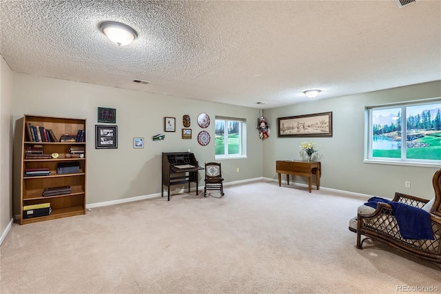 sitting room featuring a textured ceiling and light carpet