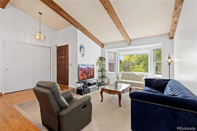 3907 E 133rd Ct, Thornton, CO 80241 - living room featuring wood finished floors