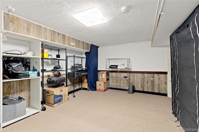 3907 E 133rd Ct, Thornton, CO 80241 - view of storage area