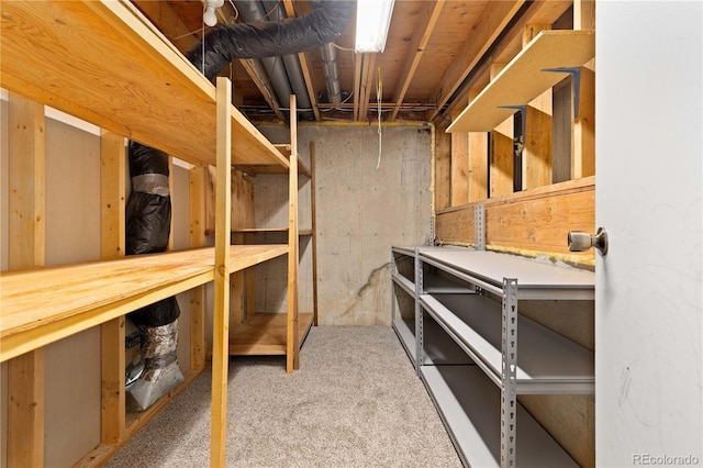 3907 E 133rd Ct, Thornton, CO 80241 - view of storage
