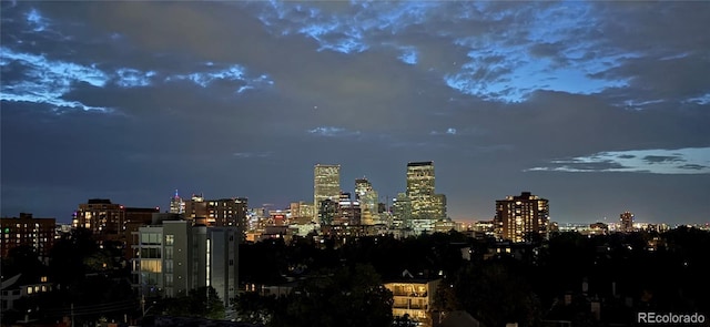 800 N Pearl St Unit 803, Denver, CO 80203 - photo 14