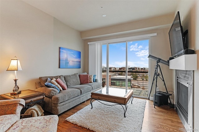 living room featuring a fireplace and light wood-type flooring