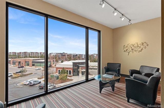 sitting room with a city view, plenty of natural light, and carpet