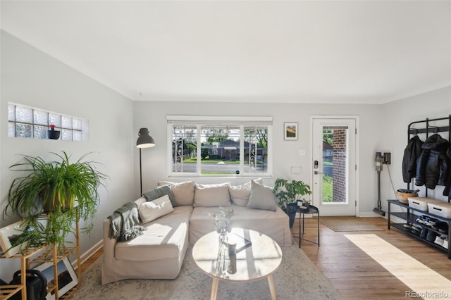 living room featuring wood finished floors and baseboards