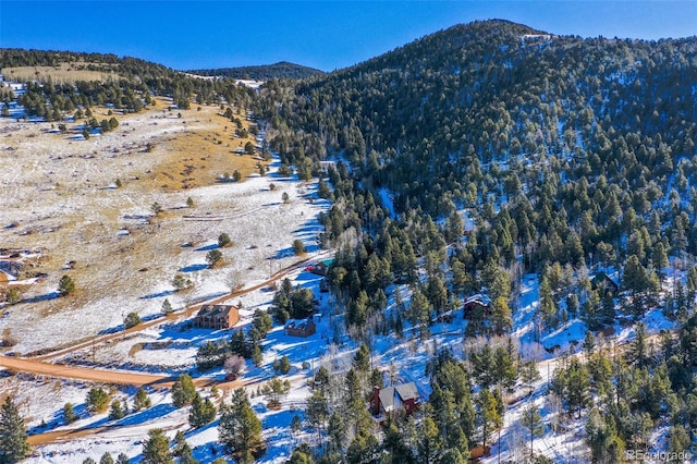 drone / aerial view featuring a mountain view