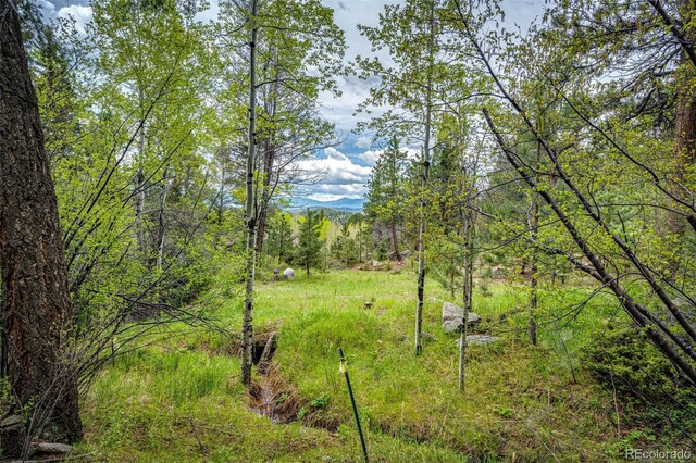12346 Bear Haven Rd, Conifer, CO 80433