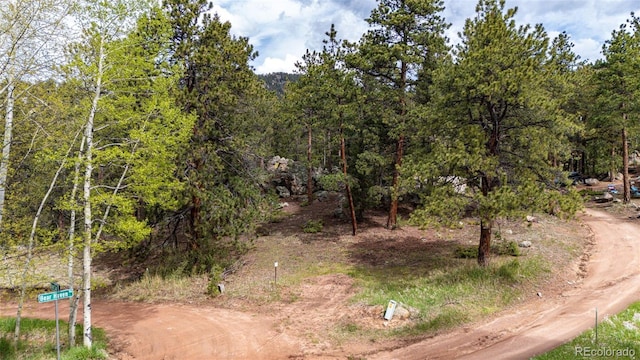 12346 Bear Haven Rd, Conifer, CO 80433