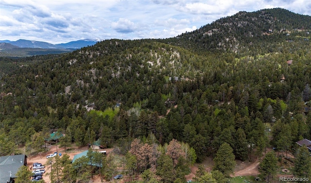 12346 Bear Haven Rd, Conifer, CO 80433