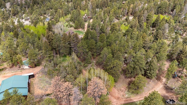 12346 Bear Haven Rd, Conifer, CO 80433