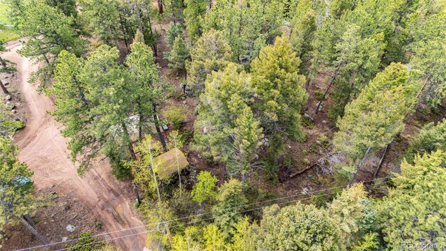 12346 Bear Haven Rd, Conifer, CO 80433
