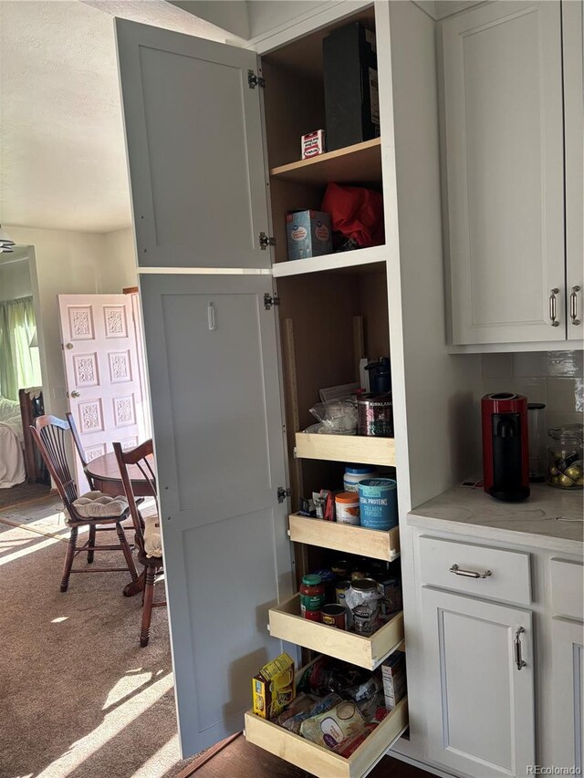 245 Lower Glenway St, Palmer Lake, CO 80133 - view of storage area
