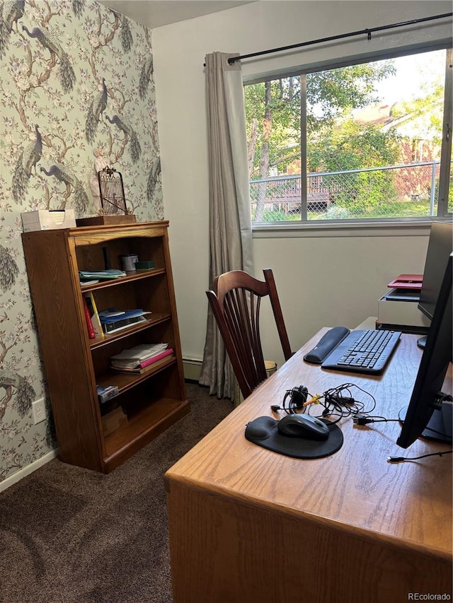 245 Lower Glenway St, Palmer Lake, CO 80133 - office with wallpapered walls, dark carpet, and baseboard heating