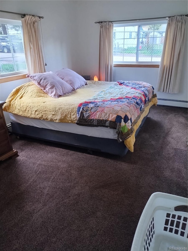245 Lower Glenway St, Palmer Lake, CO 80133 - carpeted bedroom with a baseboard heating unit