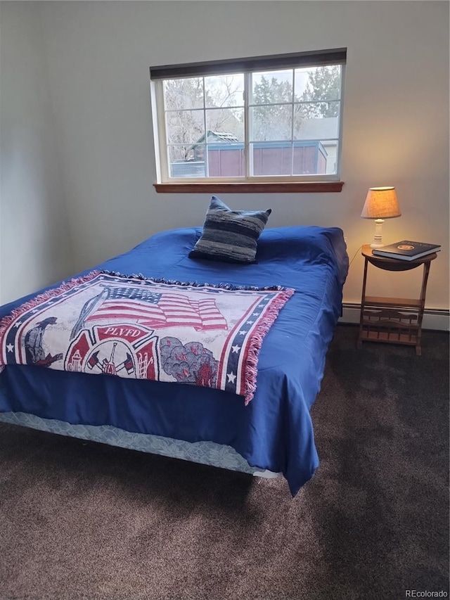 245 Lower Glenway St, Palmer Lake, CO 80133 - carpeted bedroom with multiple windows and a baseboard radiator