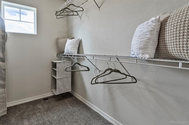 834 N Bently St, Watkins, CO 80137 - walk in closet with dark carpet