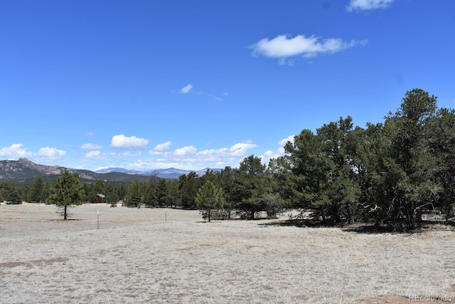988 15th Trl, Cotopaxi, CO 81223 - mountain view with a rural view