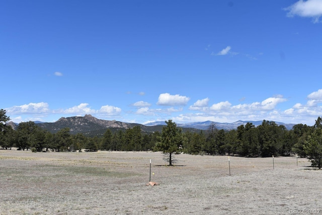 988 15th Trl, Cotopaxi, CO 81223 - property view of mountains featuring a rural view