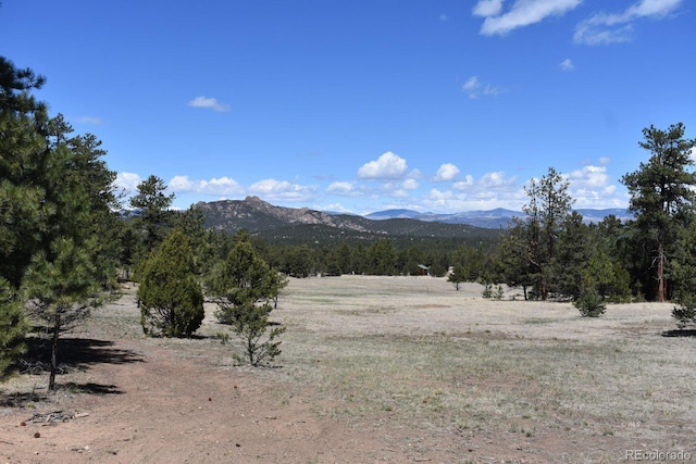 988 15th Trl, Cotopaxi, CO 81223 - view of mountain feature featuring a rural view