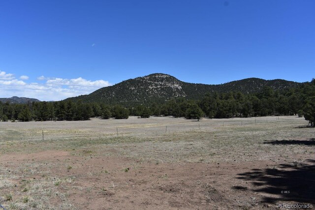 988 15th Trl, Cotopaxi, CO 81223 - property view of mountains featuring a rural view and a forest view
